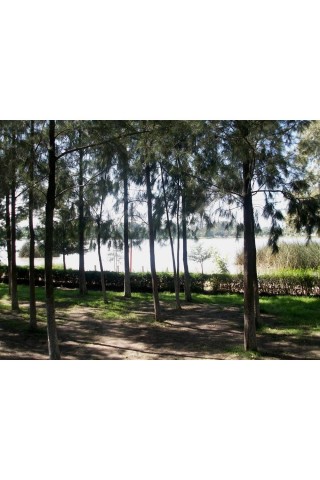 Parque espejo de los Lirios - Sitios de interés - Cuautitlán Izcalli