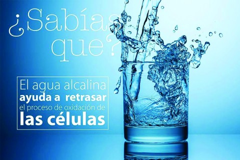 Salud Integral Margarita - Bienestar - Edoméx