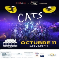 Cats el Musical 