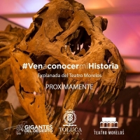 Gigantes del Desierto