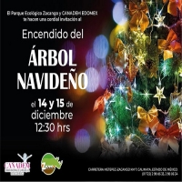 Encendido del Árbol Navideño en Zacango 