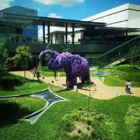 Elephlowers de Visita
