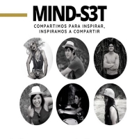 MIND-S3T