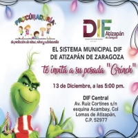 Posada Grinch 