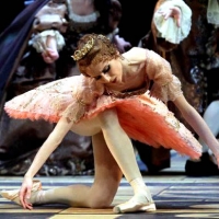 Ballet Bolshoi (La Bella Durmiente)