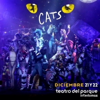 Cats el Musical, Yuri como  Grizabella