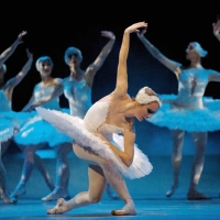 El Lago de los Cisnes con el Ballet Imperial de San Petersburgo