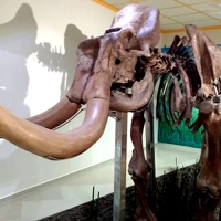 El mamut de Tultepec
