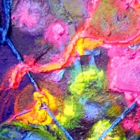 Exposicion Metamorfosis