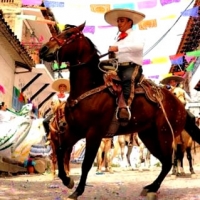 Feria Internacional Del Caballo 2019