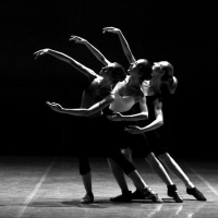 Barcelona Dance Center: Audicion para Becas