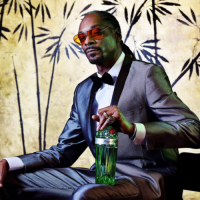 Snoop Dogg / cancelado 